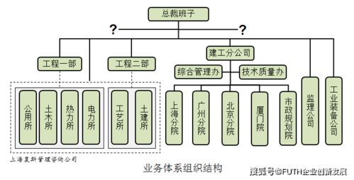 设计院发展工程总承包业务案例ⅶ 职能管理体系组织结构设计 上